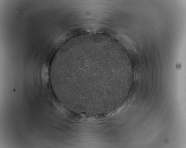X0000103151106200808221324