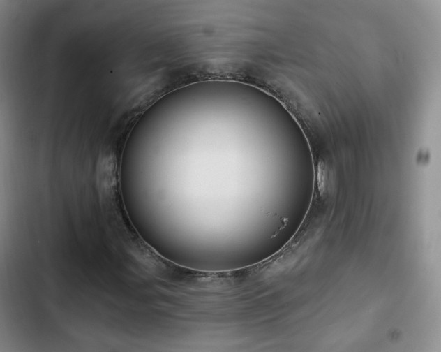 X0000103151107200808221324