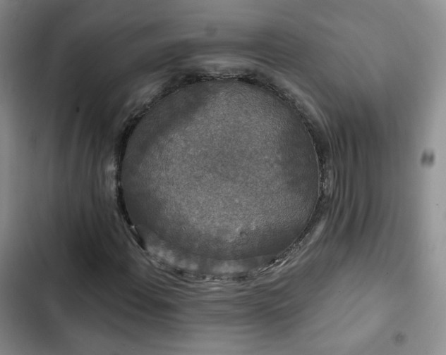X0000103151108200808221324