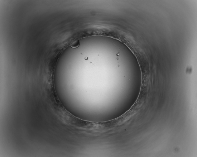 X0000103151109200808221324