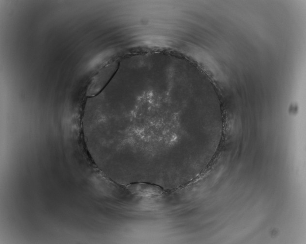 X0000103151110200808221324