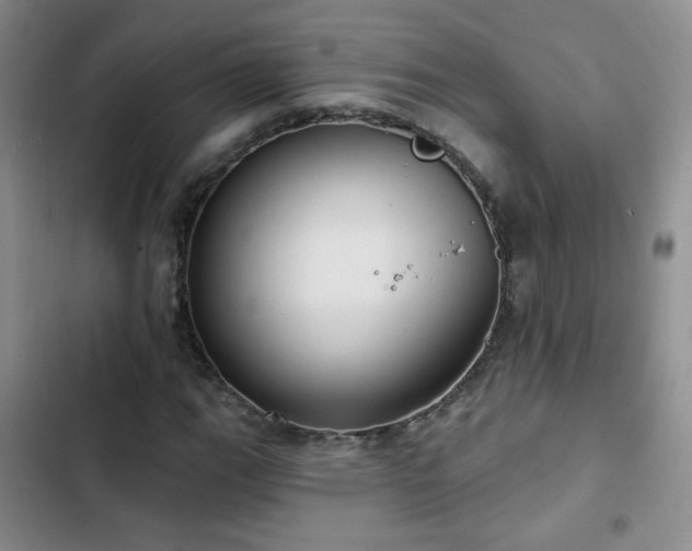 X0000103151111200808221324
