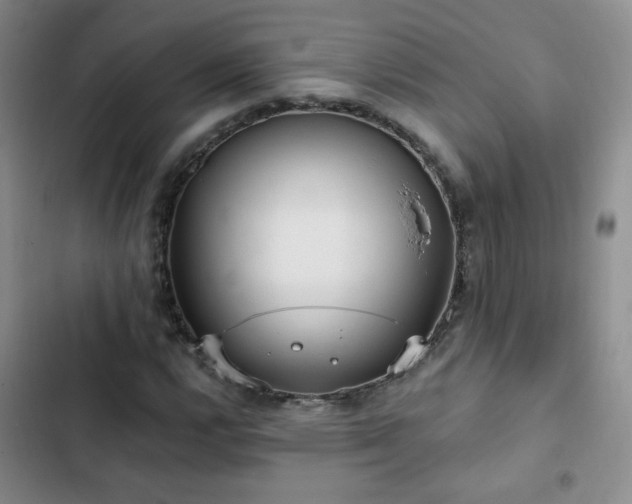 X0000103151112200808221324