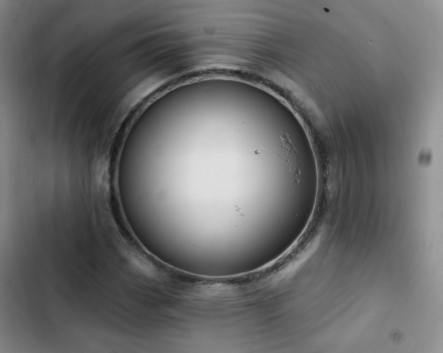 X0000103151113200808221324