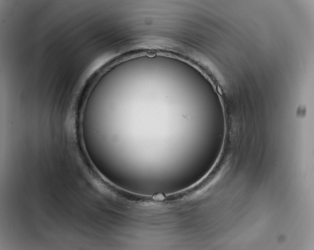 X0000103151114200808221324