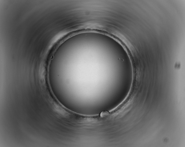 X0000103151115200808221324
