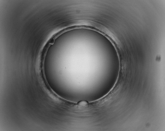 X0000103151116200808221324