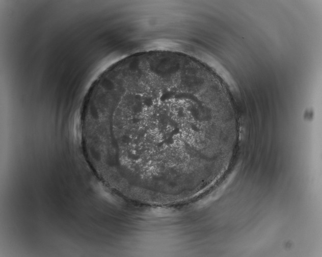 X0000103151117200808221324