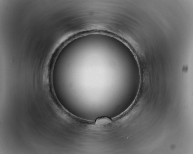 X0000103151118200808221324