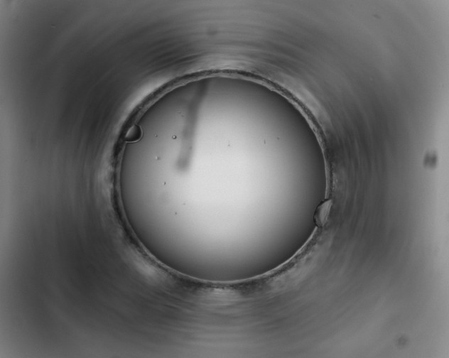 X0000103151119200808221324