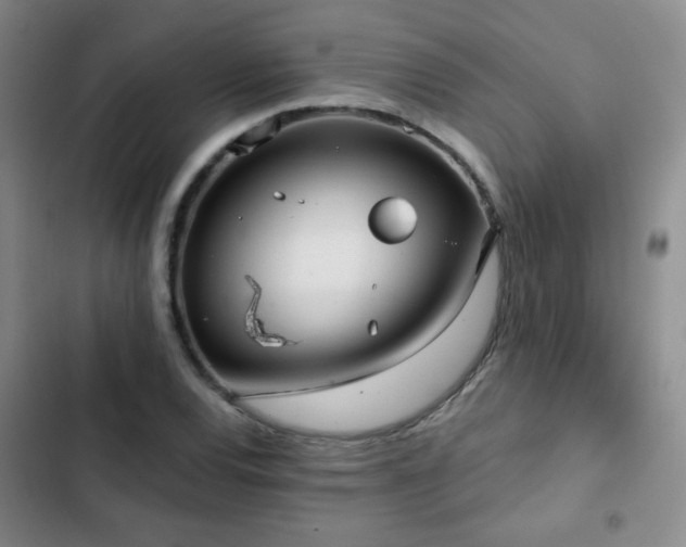 X0000103151120200808221324