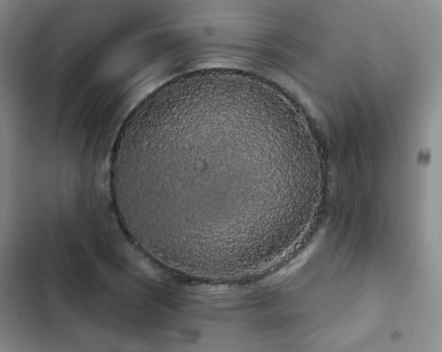 X0000103151121200808221324