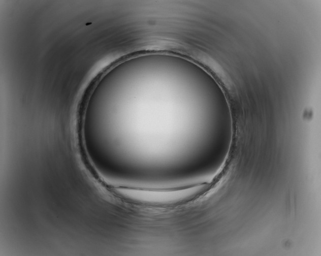 X0000103151122200808221324