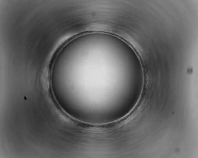 X0000103151123200808221324