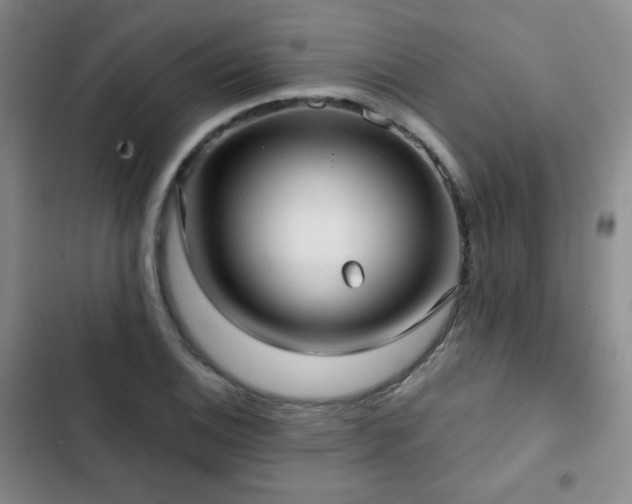 X0000103151124200808221324