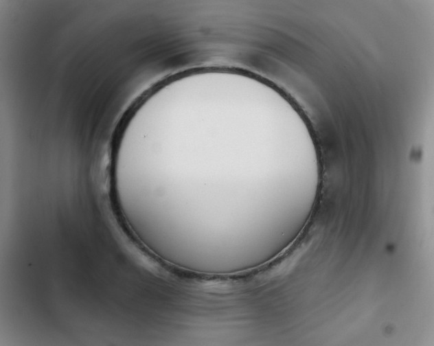 X0000103151126200808221324