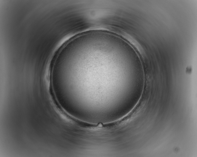 X0000103151127200808221324