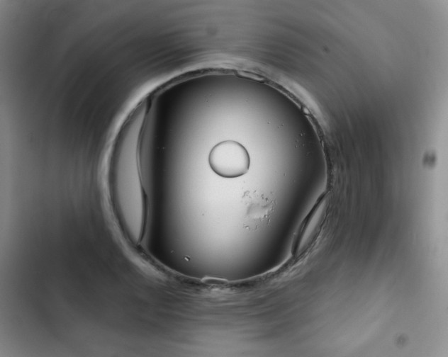 X0000103151128200808221324