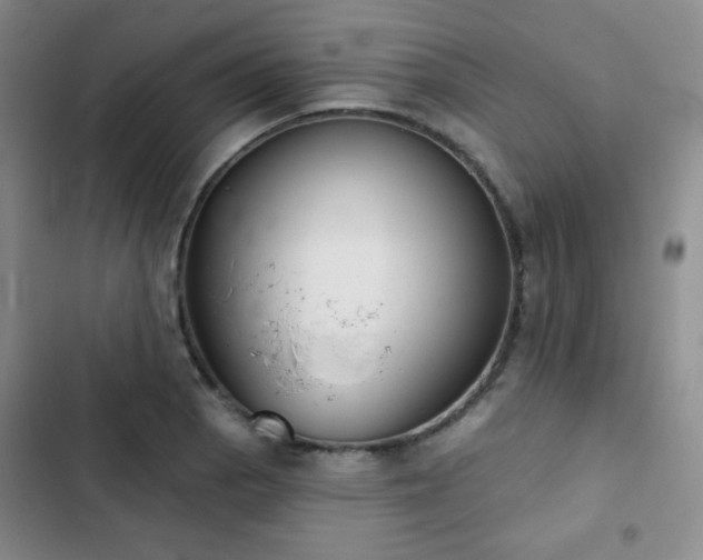 X0000103151129200808221324