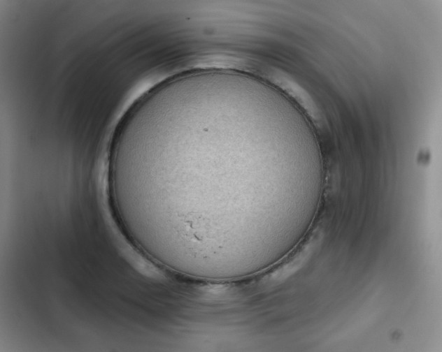 X0000103151130200808221324
