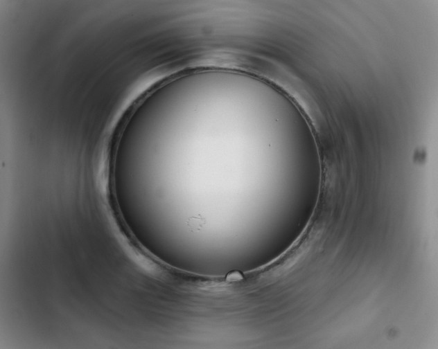 X0000103151131200808221324