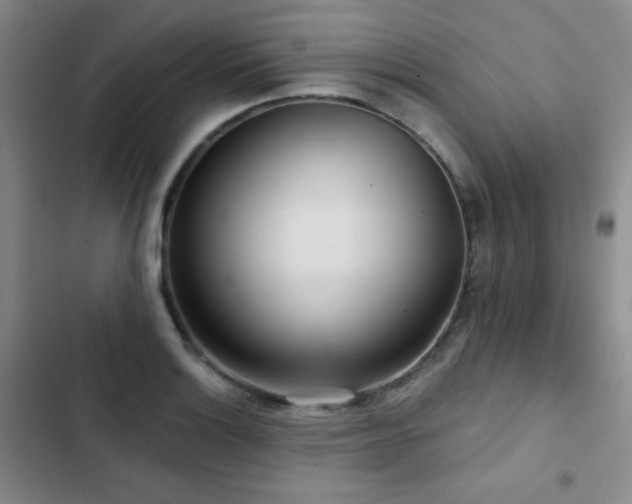 X0000103151132200808221324