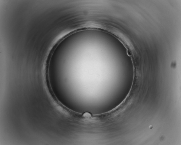 X0000103151133200808221324