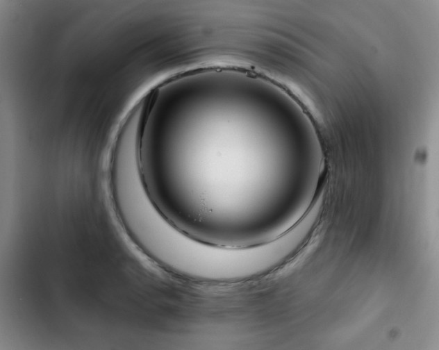 X0000103151134200808221324