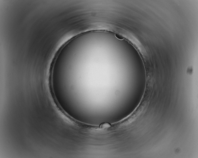 X0000103151135200808221324