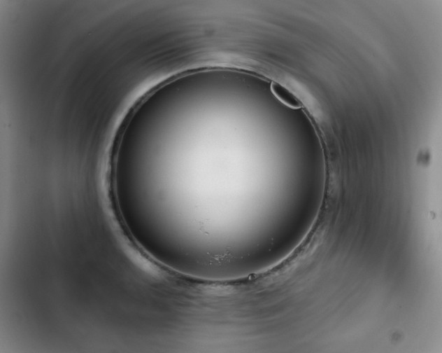 X0000103151136200808221324