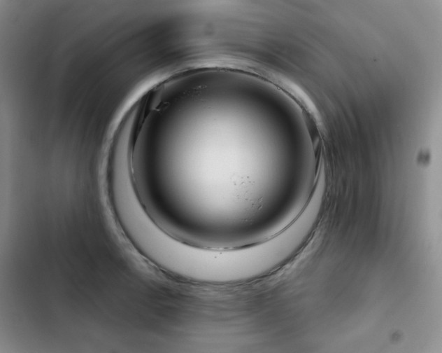 X0000103151138200808221324