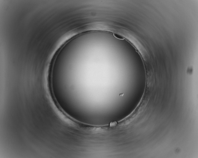 X0000103151139200808221324