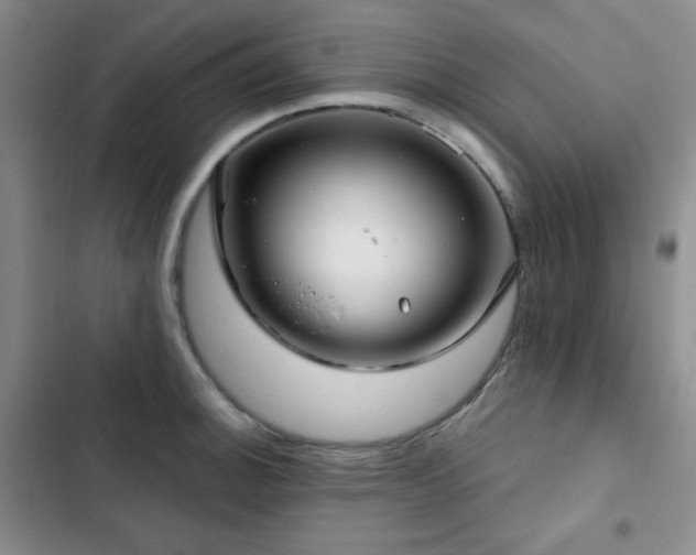 X0000103151140200808221324