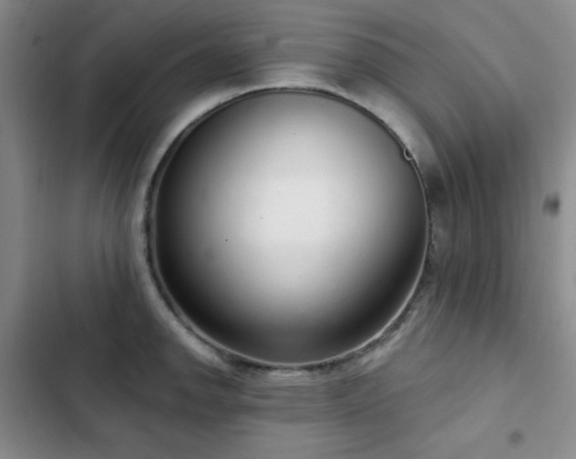 X0000103151142200808221324