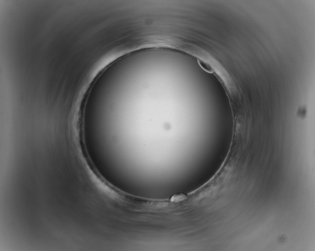 X0000103151143200808221324
