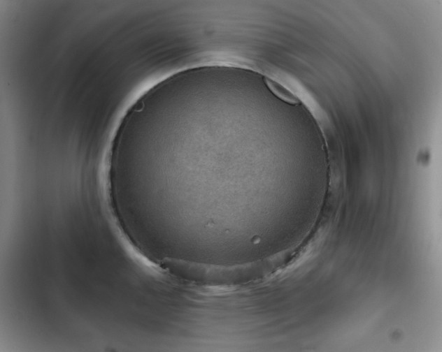 X0000103151144200808221324