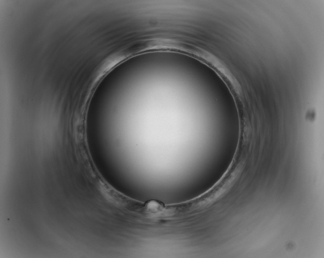 X0000103151145200808221324