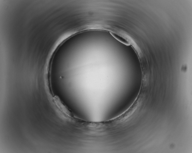X0000103151146200808221324