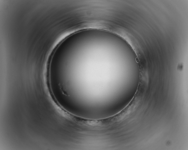 X0000103151147200808221324