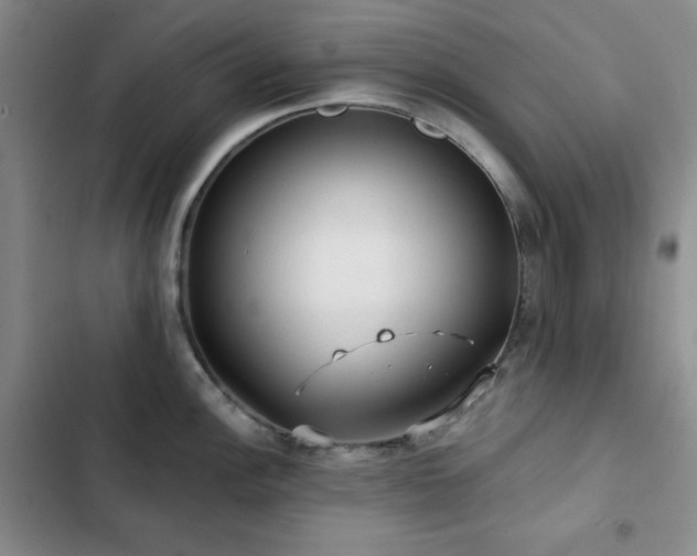 X0000103151148200808221324
