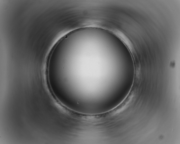 X0000103151149200808221325