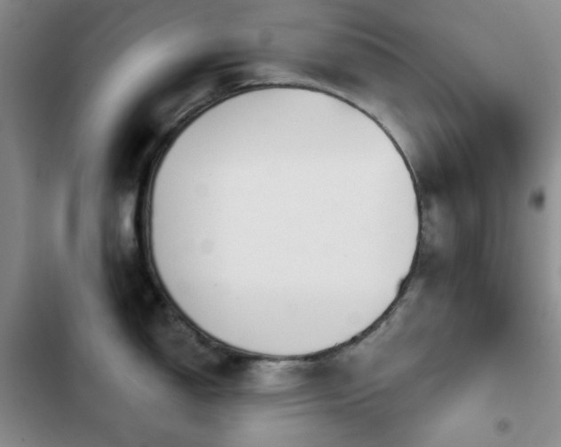 X0000103151150200808221325