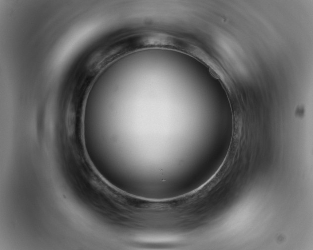 X0000103151151200808221325