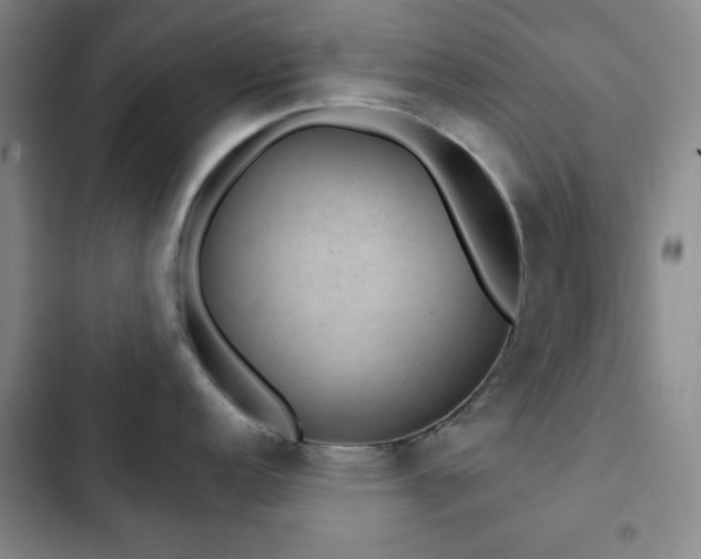X0000103151152200808221325
