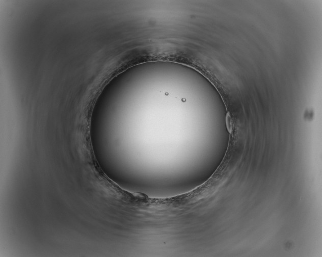 X0000103151153200808221324