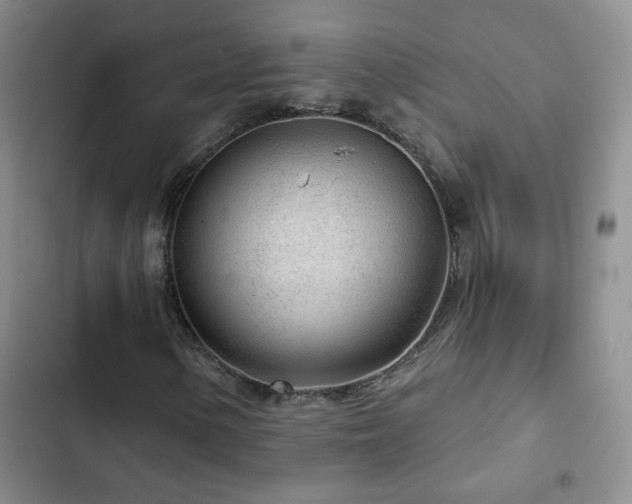 X0000103151154200808221324