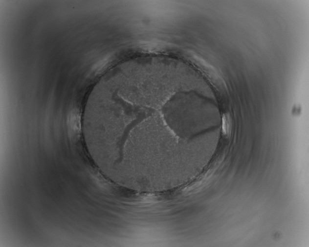 X0000103151155200808221324