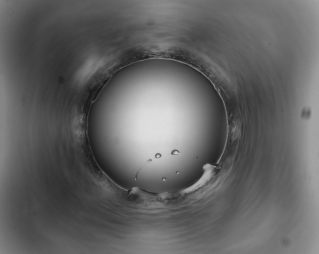 X0000103151156200808221324