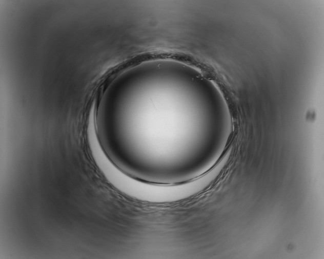 X0000103151157200808221324