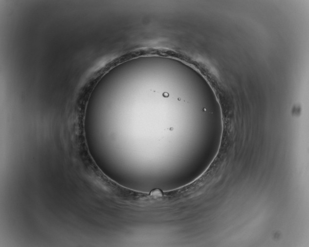 X0000103151159200808221324